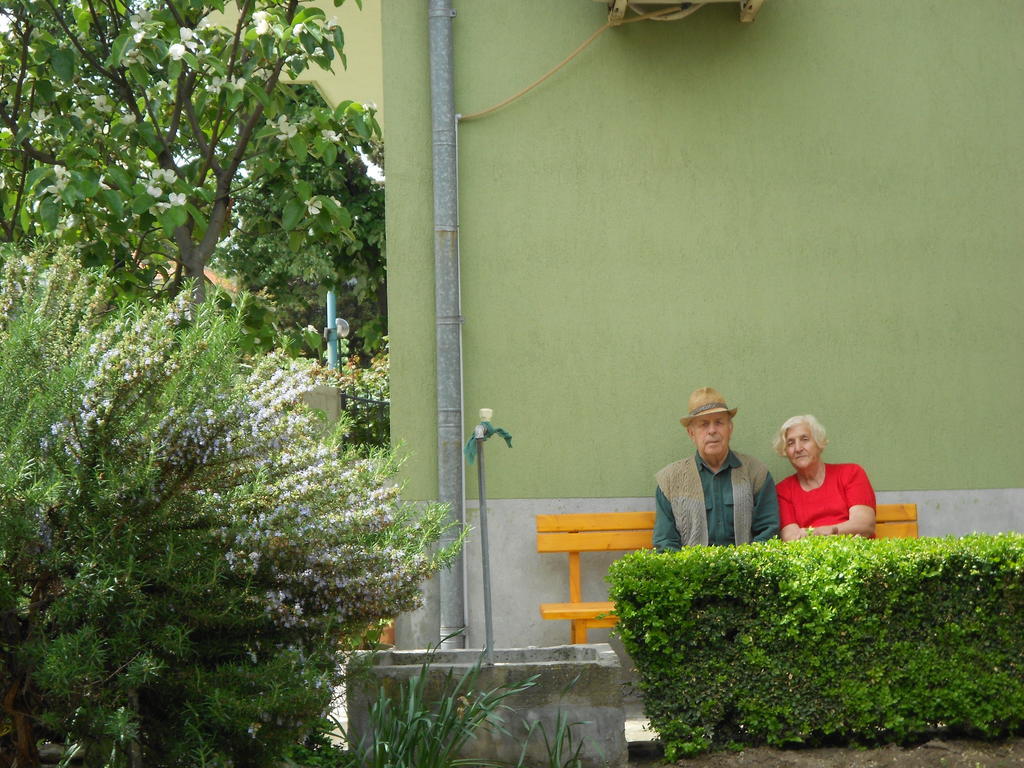 Nelly Guest House ソゾポル エクステリア 写真